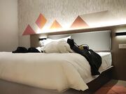 约肉肉熟女穿上黑丝跪地口抬腿抽插猛操享受