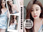 惊鸿一现极品美女车模客串赚快钱大波浪粉乳