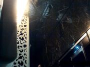 最新流出国内云上会所豪华WC偷拍 这的妹子喜欢撅着屁股嘘嘘