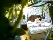 年轻水嫩的漂亮大学美女酒店被鸡鸡粗大的男友抱起来猛操后又趴在屁股上狂干内射,美女受不了呻吟惨叫