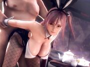 DOA死或生 兔女郎合集 720p 3D