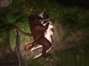 年轻貌美的小仙女在树林里被大蛮牛爆操