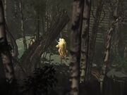 三人组一个美丽的仙女和两个兽人在夜森林