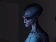 性感女神玩弄上位抽插高潮呻吟不断