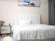 胖子传媒工作室眼镜妹反差婊少女肉体