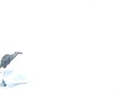 剧情演绎旗袍颜值姐妹花勾搭保安解决生理需求 撩起裙子