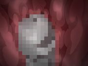 [桜都字幕组][720P Hi10P][せるふぃっしゅ]くの一牡丹 その一