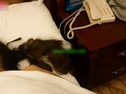 嘴角有美人痣的大姐被我玩菊花