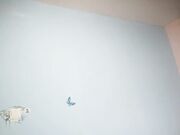 陕西人叫大饼子脸的少妇鸡 陕西口音对白