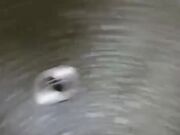 初恋的香味 小阿寸苗条身材妹子户外厕所啪啪 卫生间口交坐马桶上抽插后入