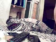 第一次操的良家 女的不愿意做被压在电视前 强行扒衣挑逗