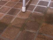 阴毛未经处理 要小心 猫毛蓬松精液 dopyudopyunuru 猫特别最好