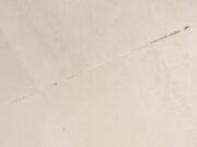 美女主播40 极品颜值美女大学生终于露脸可以说是天仙颜值搭配丝袜简直绝了