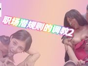职场潜规则的调教2