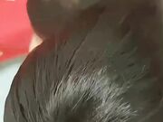 情人节不出门只把嫂子当情人嫂子骚起来真兴奋逼水弄得到处都是全程骚话_00_00_47_.mp4