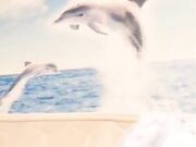 满背纹身骚气妹子和纹身炮友双人啪啪 口交上位骑乘抽插后入勐操