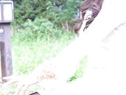 在SNS上招募M男带到酒店 射精管理与追击潮吹1