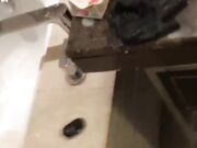 大神酒店露脸调教骚妻 各种玩法一起上 一边灌肠一边操