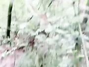 松林里的小姨子独领风骚姐夫抽打调教站立爆操淫水直流