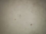 跪着深喉插嘴，多姿势啪啪淫乱刺激