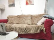 锤子探花168CM极品风骚御姐