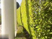 女朋友的第一视角体验和你一起度过充满色情的一整天