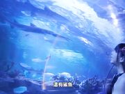 性爱游记吉隆坡旅游后在酒店海景窗前做爱
