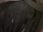 极品教师性奴门 大吊大学生调教反差母狗英语老师 束缚羞辱把她玩到尿失禁