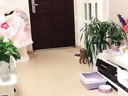 古妆美女直播全裸秀性感自慰