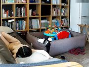 偸拍年轻夫妻家中沙发上打炮