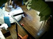 给男友毒龙干二炮肏的哎呀大声叫