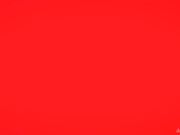 四根大鸡巴同入娇小的金发美人