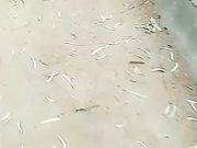 露脸骚货俏秘书跟小哥哥玩刺激的野战