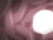 山姫の実 第三巻 きずな 中文字幕