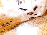 少妇酒店强推外卖小哥激情3P浴室内洗澡吃两根几把