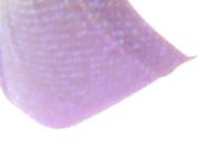 少妇椅子上道具双洞齐插手指扣逼淫水直流 再用小炮机快速抽插 很是诱惑