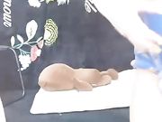 身材丰满的美少妇主播 和胖哥哥在床上啪啪大秀 胖哥哥享受着妹子口交