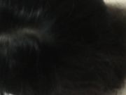 分手后被渣男爆出啪啪私拍,记录着一个清纯文静的女孩被调教成荡妇的经历