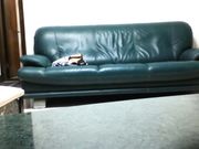 校长趁老婆出差之时把大学生情人带到家里打炮鸳鸯浴后沙发上大战