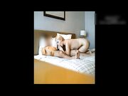 广州高级会所约战洋妞很刺激