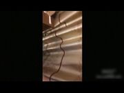 看起来挺清纯没想到骨子里这么骚气