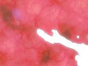 Last Waltz～白濁まみれの夏合宿～ 上巻